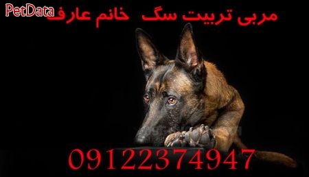 مربي تربيت سگ نگهبان  خانم عارف  09122374947