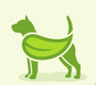 🐕‍🦺 تربيت سگ خانگي  شيتزو سگ پامرانين خانم کاوند  09125710949