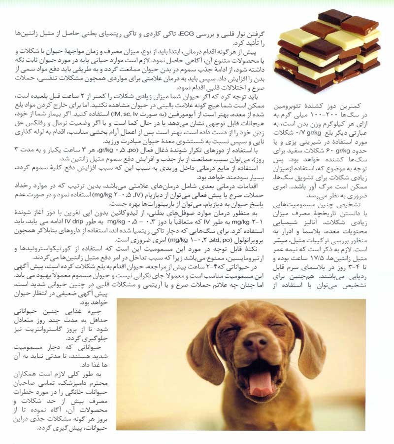 مقاله   مراقبت حیوانات خانگی