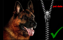petdata2